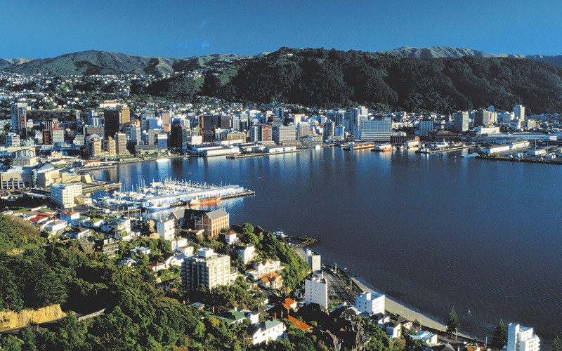 Wellington Property Market — Why this Summer Could Be the Turning Point